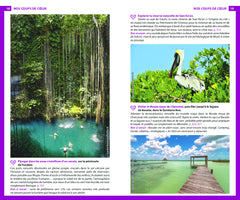 Guide du Routard Mexique (+Yucatan) 2024/25: + Yucatan