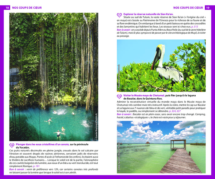 Guide du Routard Mexique (+Yucatan) 2024/25: + Yucatan