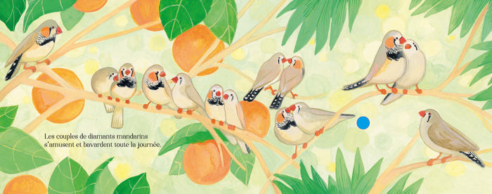 Chants d'oiseaux amoureux