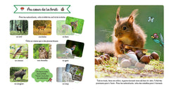 Les animaux