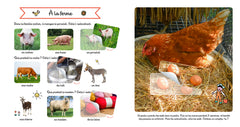 Les animaux