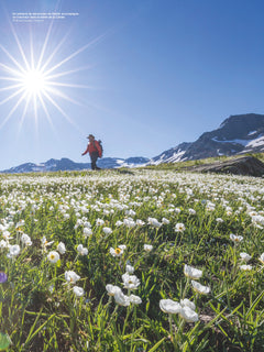 France, terre de treks