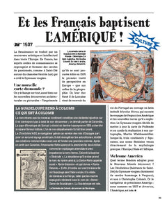 Une stupéfiante histoire de France !
