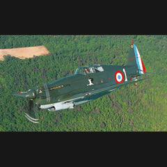 Warbirds - Les avions militaires de collection en vol