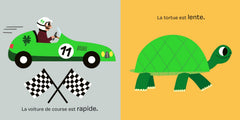 Petit caméléon - Grand et petit