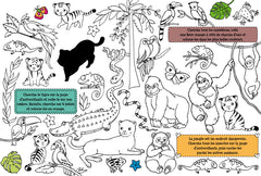 Cherche et colle - Les animaux du monde