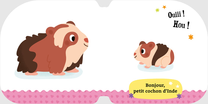 Les animaux familiers