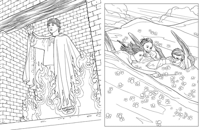 Coloriage Harry Potter - Voyages Magiques