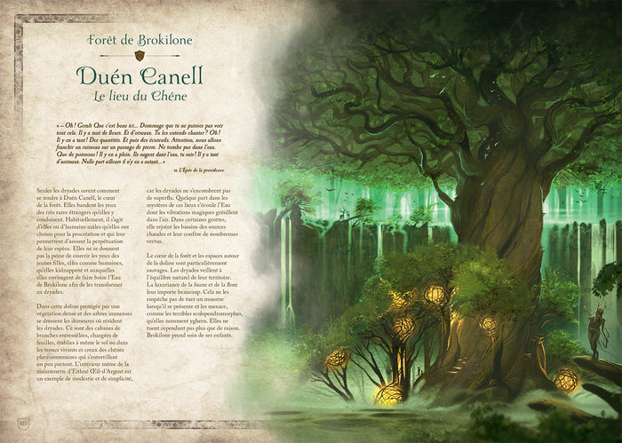 L'univers du Sorceleur : Le Continent