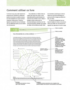 Neuroanatomie en 200 schémas à légender et colorier
