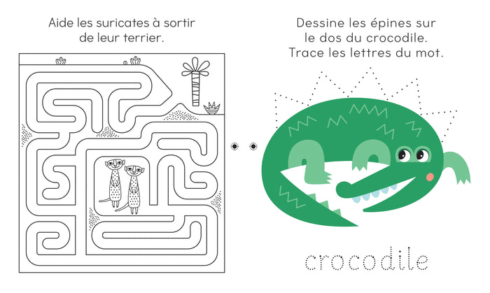 Jeux effaçables animaux avec feutre Velleda