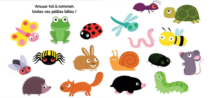 Mon imagier animé les petites bêtes