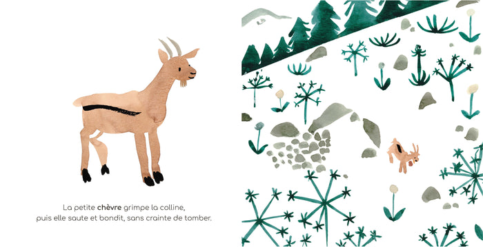 Mon imagier à raconter - Les Animaux de la ferme