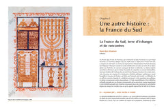 Histoire juive de la France