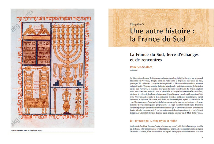 Histoire juive de la France