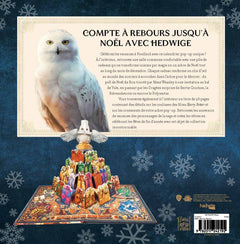 Calendrier de l'Avent Hedwige Harry Potter