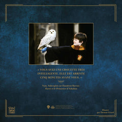 Calendrier de l'Avent Hedwige Harry Potter