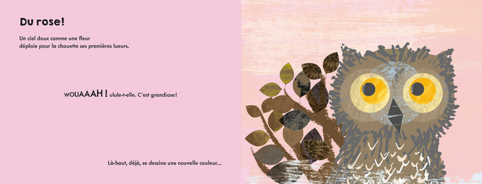 Toutes les couleurs du ciel