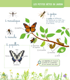 Le grand imagier Montessori de la nature et des animaux