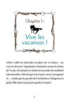 Roman au galop, une année à cheval - Un stage inoubliable