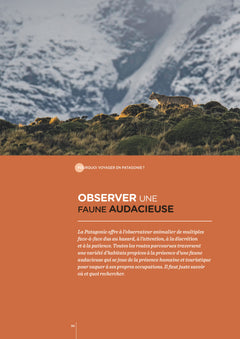 Patagonie - Les clés pour bien voyager