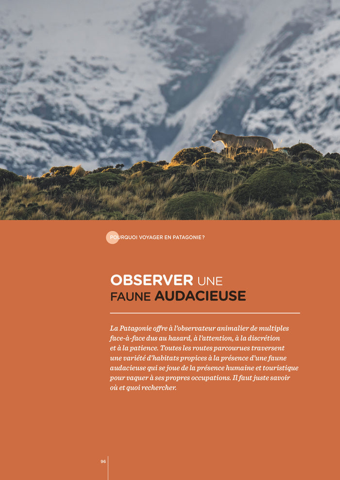 Patagonie - Les clés pour bien voyager