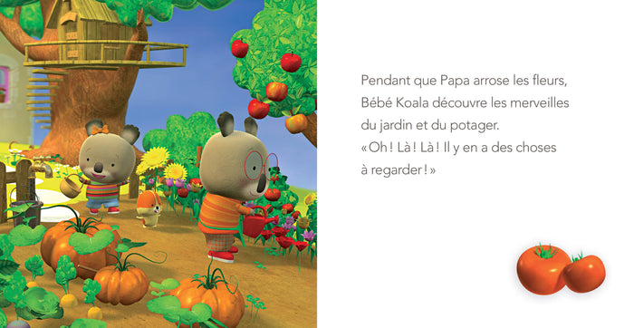 Bébé Koala - Le jardin