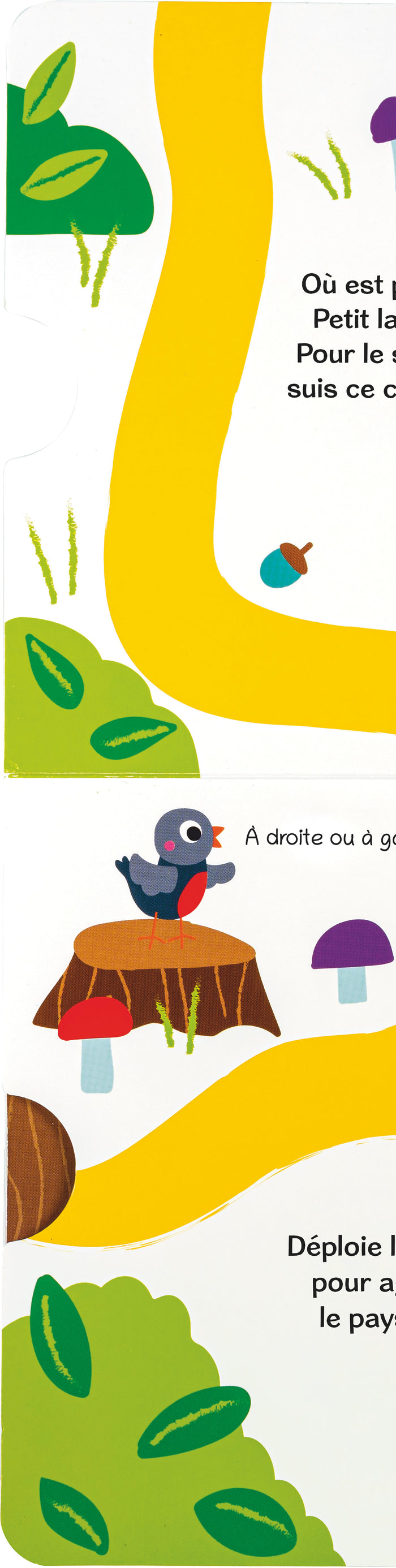 Où es-tu petit lapin ?