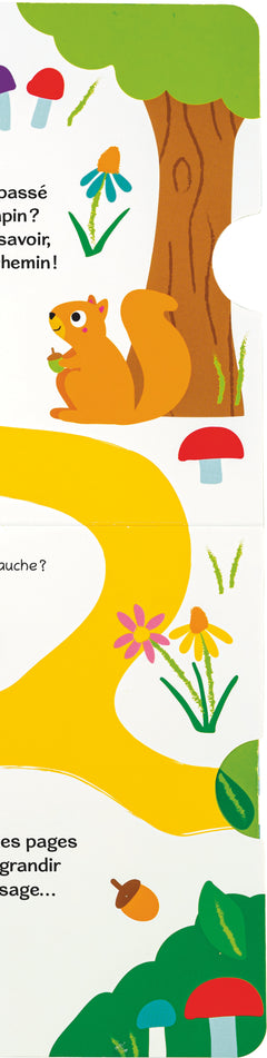 Où es-tu petit lapin ?