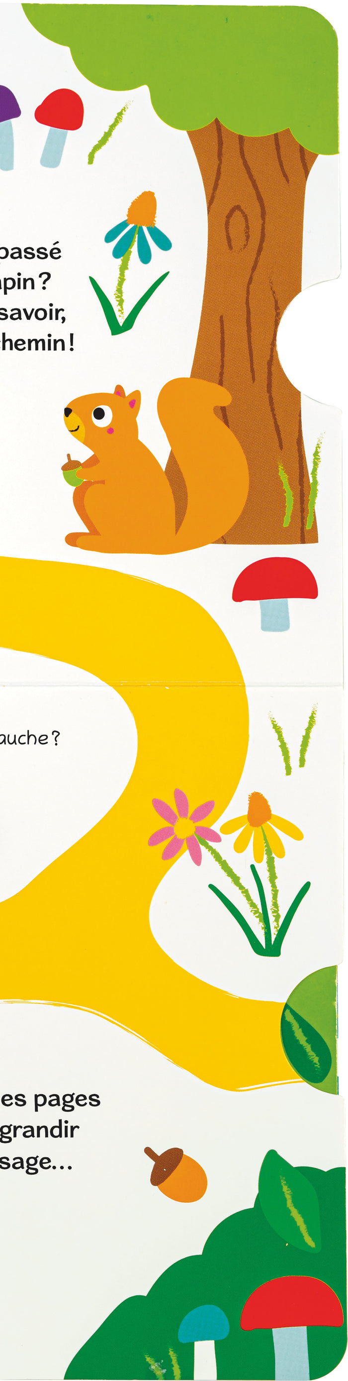 Où es-tu petit lapin ?