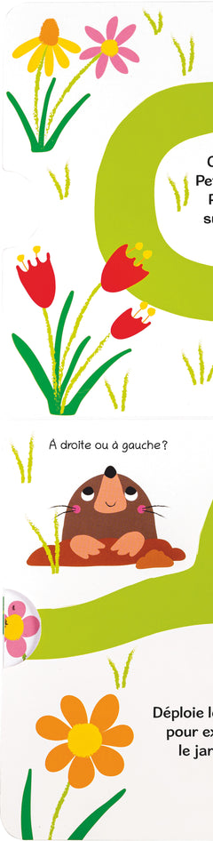 Où es-tu petite coccinelle ?