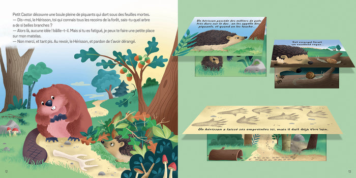 P'tit Ludoc - Soulève les flaps : Les animaux de la forêt