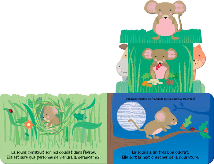 Qui se cache dans le jardin ? Ned