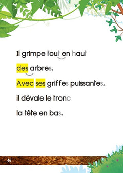 1ères lectures UNE SAISON AU ZOO - Tout roux, tout doux !