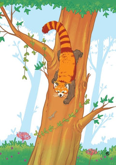 1ères lectures UNE SAISON AU ZOO - Tout roux, tout doux !