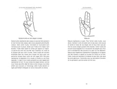 Le guide moderne des Mudras