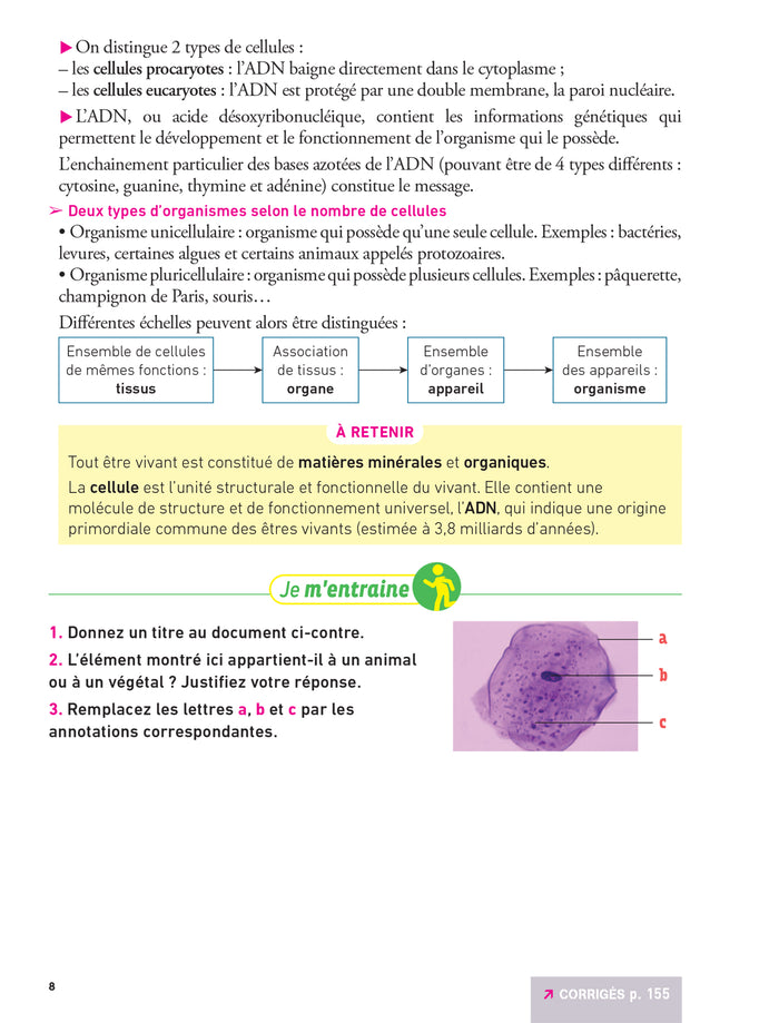 Hatier CRPE - Fiches de Sciences et Technologie - Epreuve écrite 2024/2025
