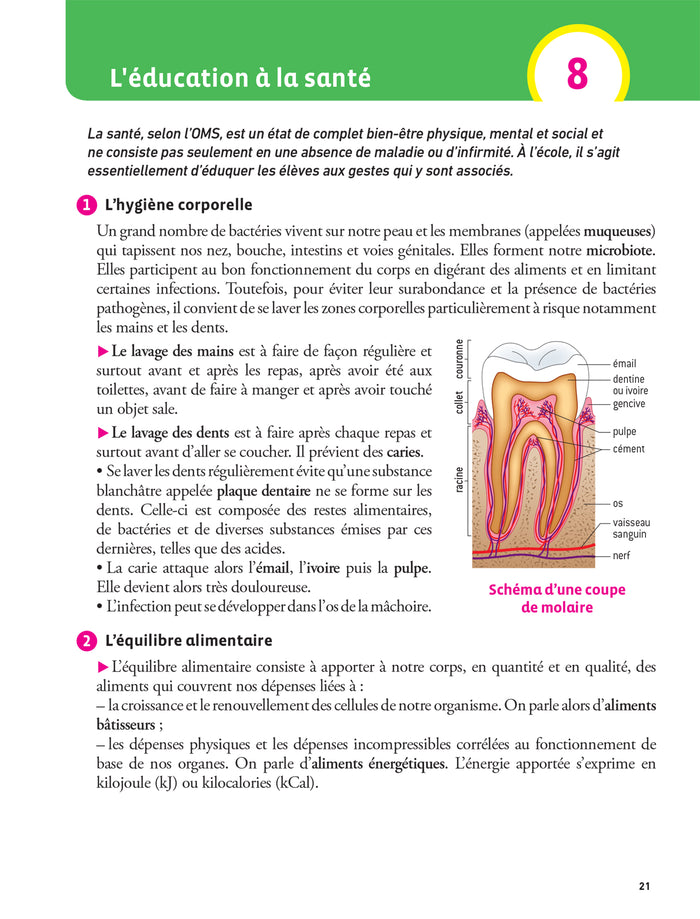 Hatier CRPE - Fiches de Sciences et Technologie - Epreuve écrite 2024/2025