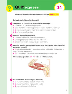 Hatier CRPE - Fiches de Sciences et Technologie - Epreuve écrite 2024/2025