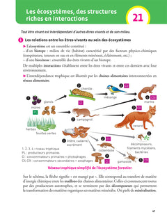 Hatier CRPE - Fiches de Sciences et Technologie - Epreuve écrite 2024/2025