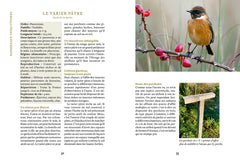 Créer un jardin vivant - Accueillir la biodiversité et s'allier à la faune sauvage