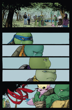 Les Tortues Ninja - TMNT Reborn, T1 : Renaissance