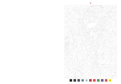 50 coloriages mystères