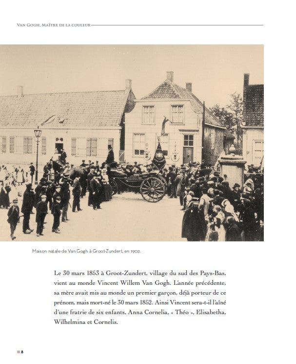 Van Gogh, Maître de la couleur