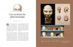 Cabinet de curiosités