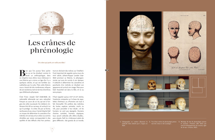 Cabinet de curiosités