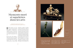 Cabinet de curiosités