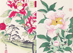 Roses, pivoines et iris par les grands maitres de l'estampe japonaise (coffret)