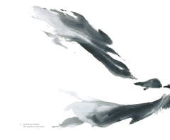 Alpes - Calligraphies sauvages