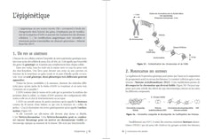 Connaissance des abeilles